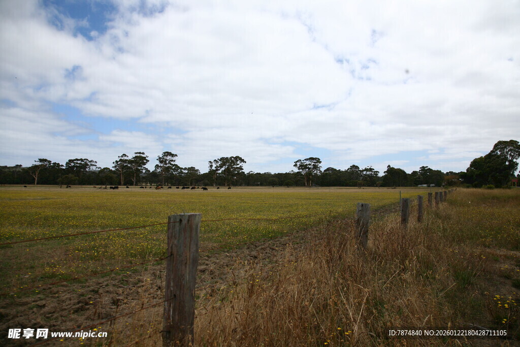 田野围栏边的开阔风景