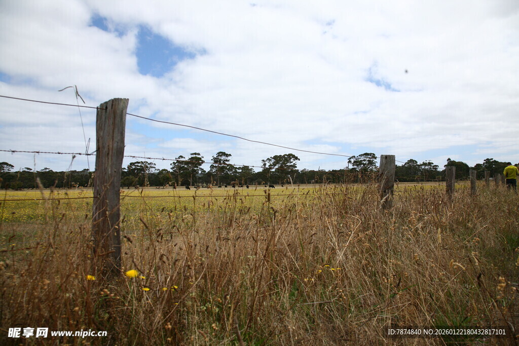 田野中的木桩围栏