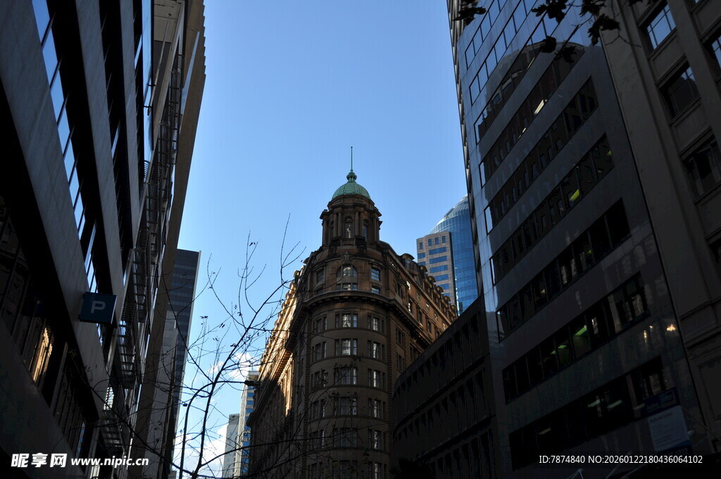 城市中高耸的古典风格建筑