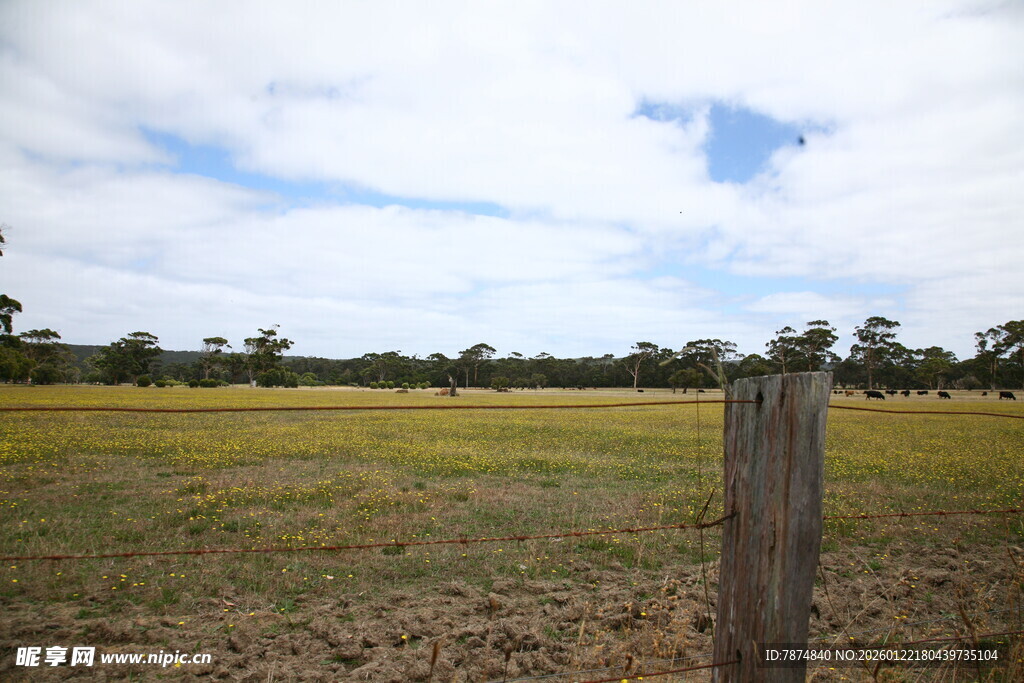 田野边的木桩与开阔风景