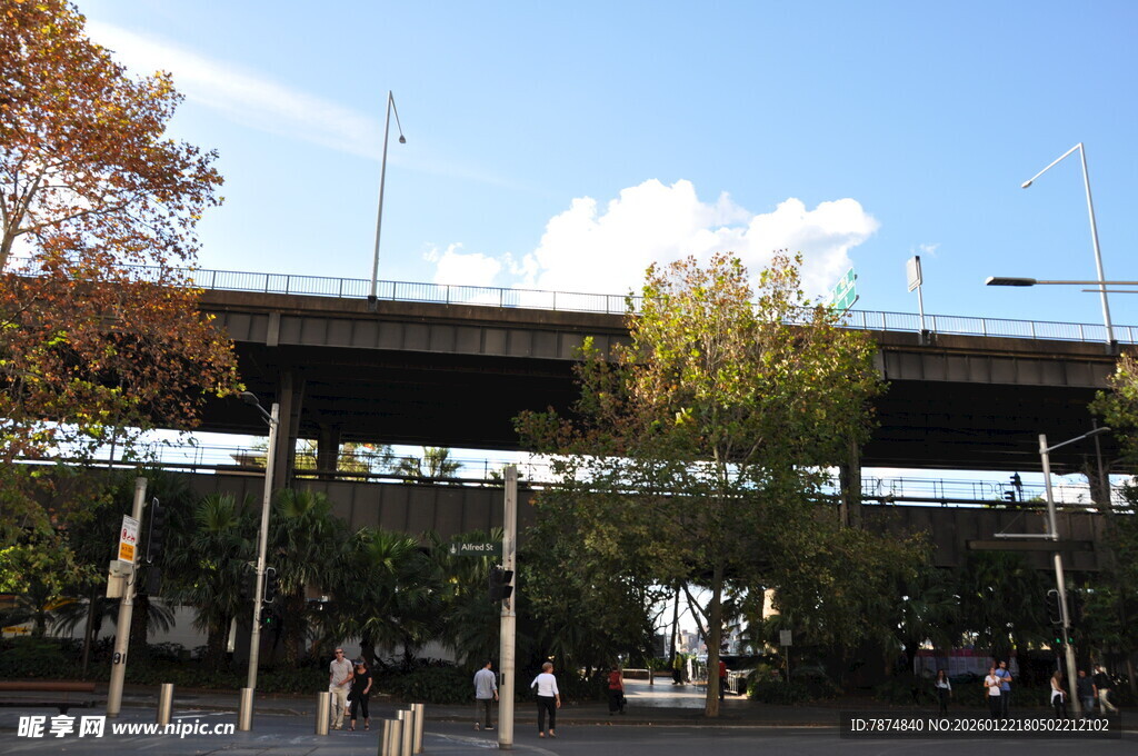 城市中的高架桥及周边景象