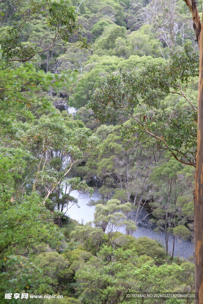 山林间的潺潺溪流