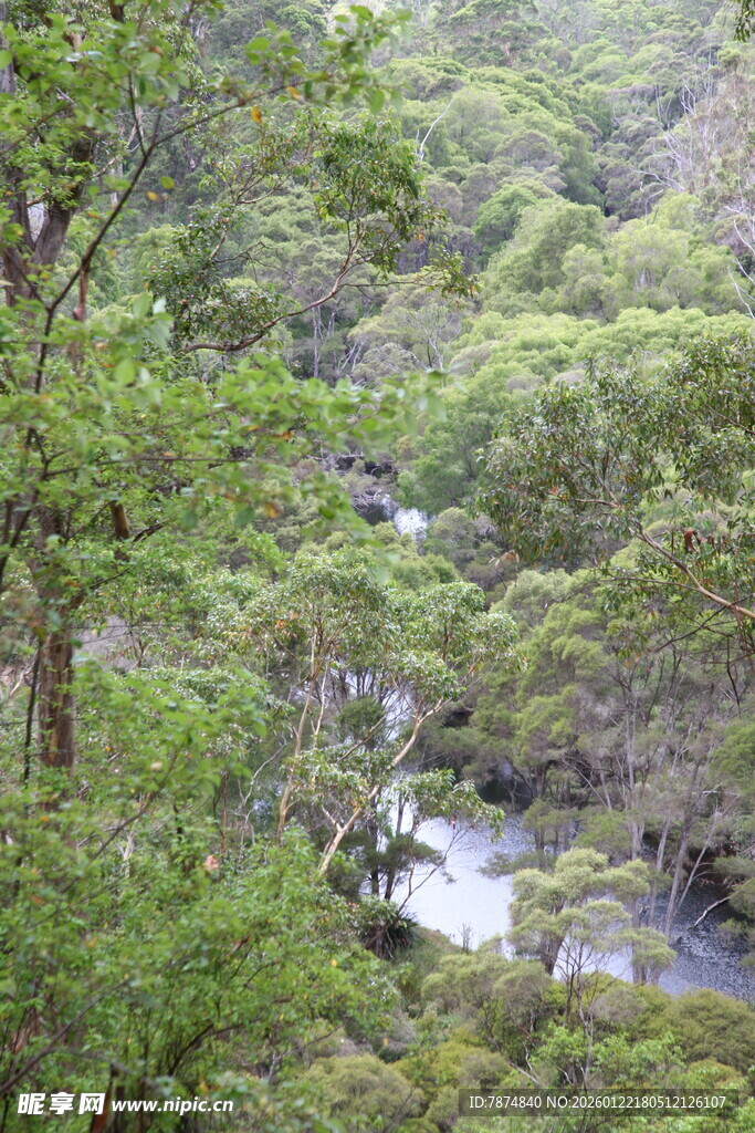 山林间的潺潺溪流