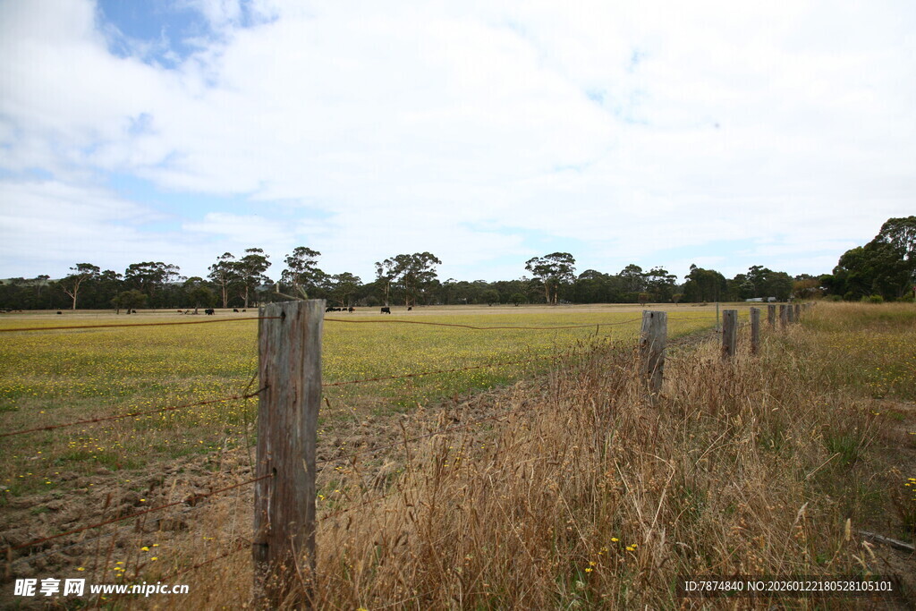 田野围栏边的开阔风景