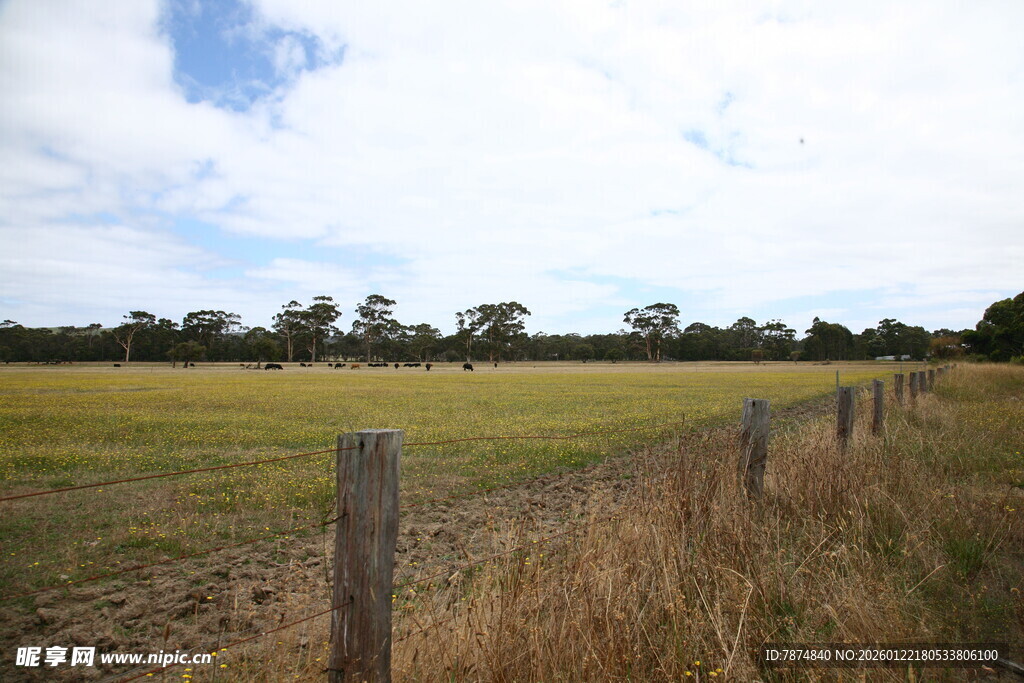 田野边的木栅栏风景