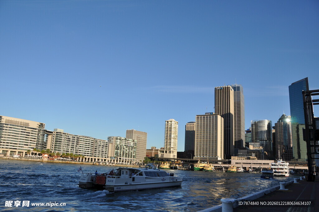 海滨城市的繁华天际线