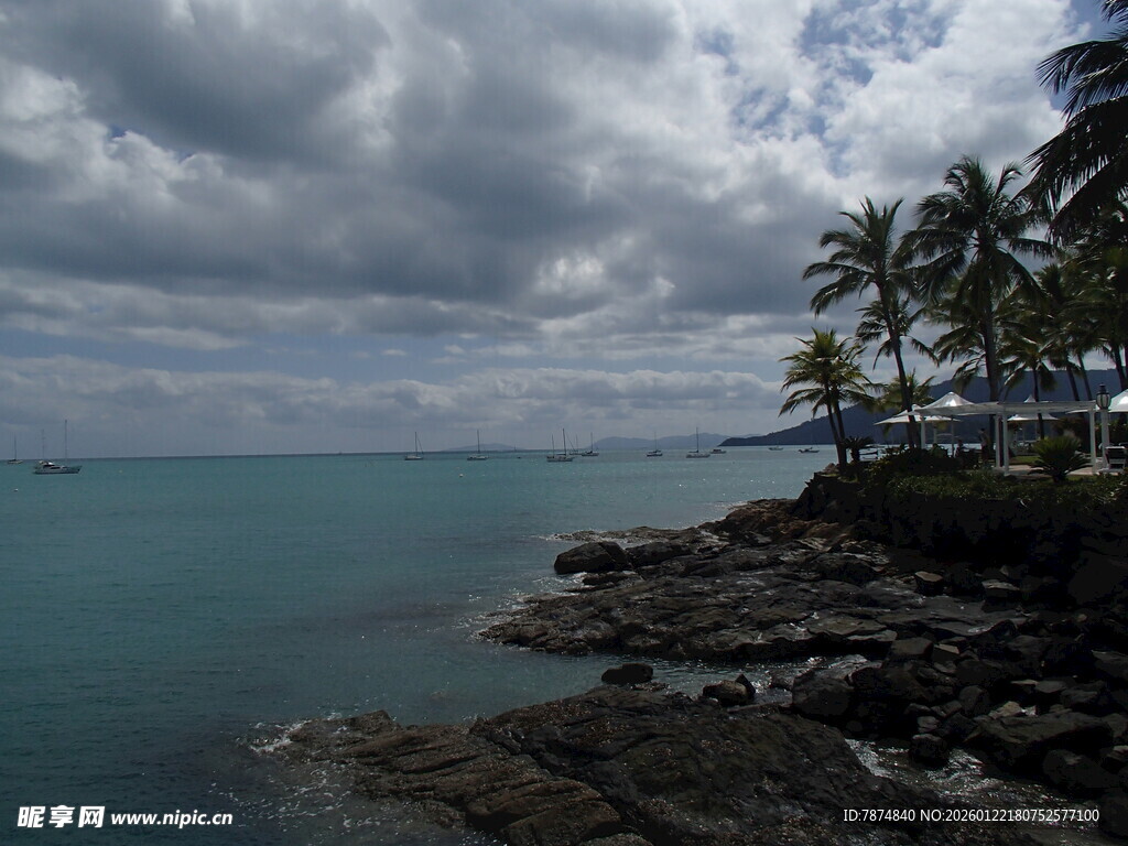 海边椰树旁的壮阔海景