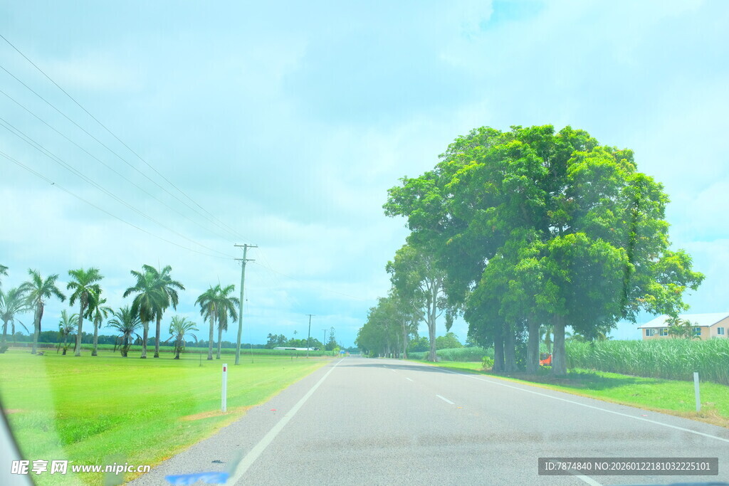 公路旁绿意盎然的风景