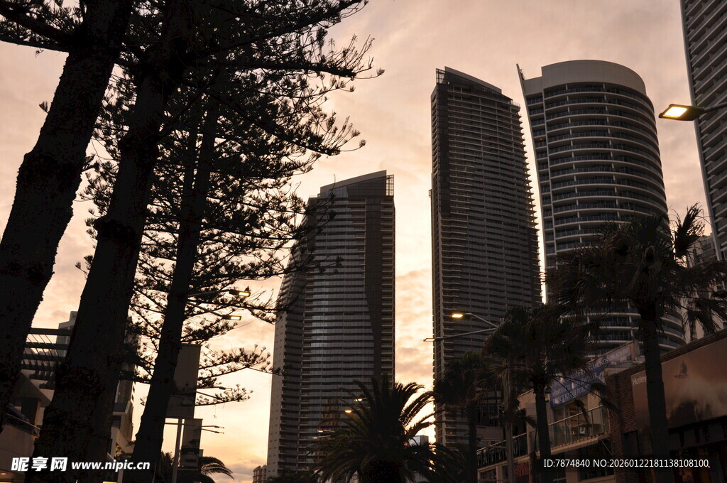 黄昏下的城市与林立树木