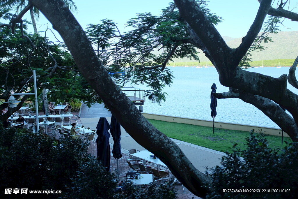 湖畔树下的休闲场景
