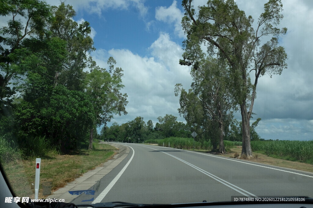 公路旁绿树成荫的风景
