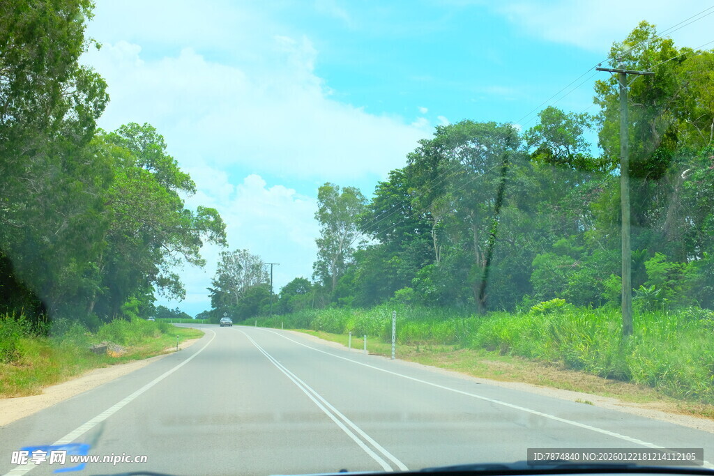 公路旁绿意盎然的自然风景