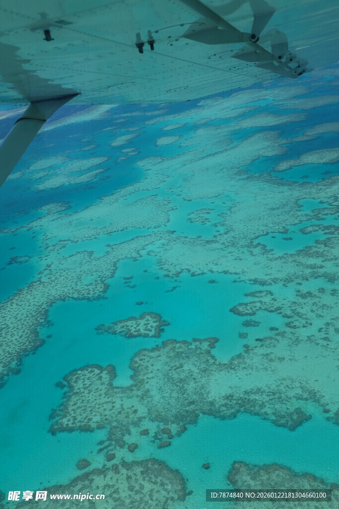 俯瞰美丽海底珊瑚景观