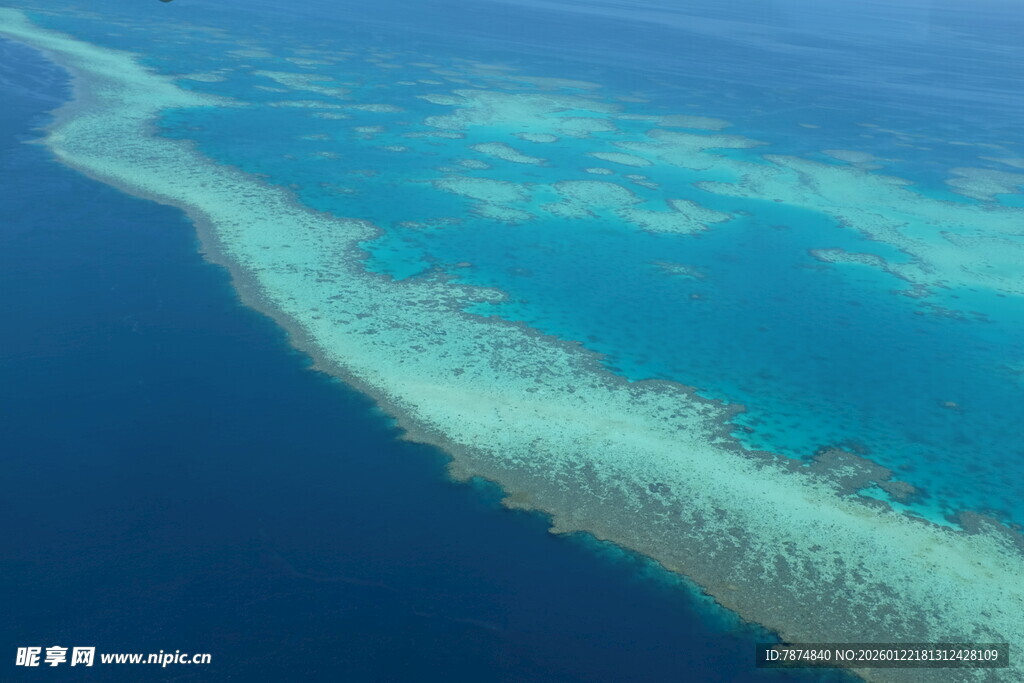 蔚蓝海洋中的美丽珊瑚礁