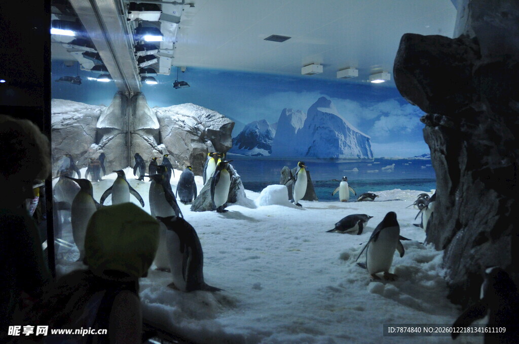室内企鹅展区场景