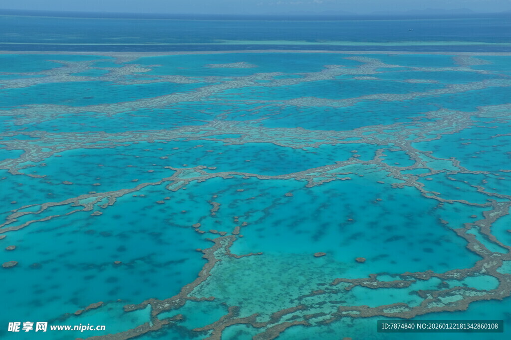 美丽的蓝色珊瑚礁海域