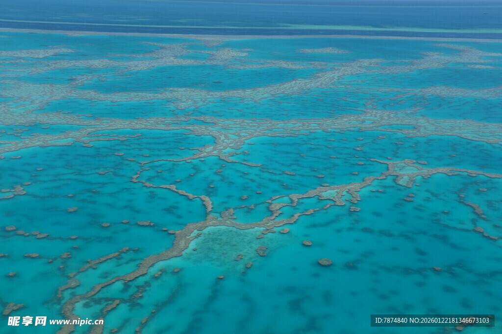 美丽清澈的海底珊瑚景观