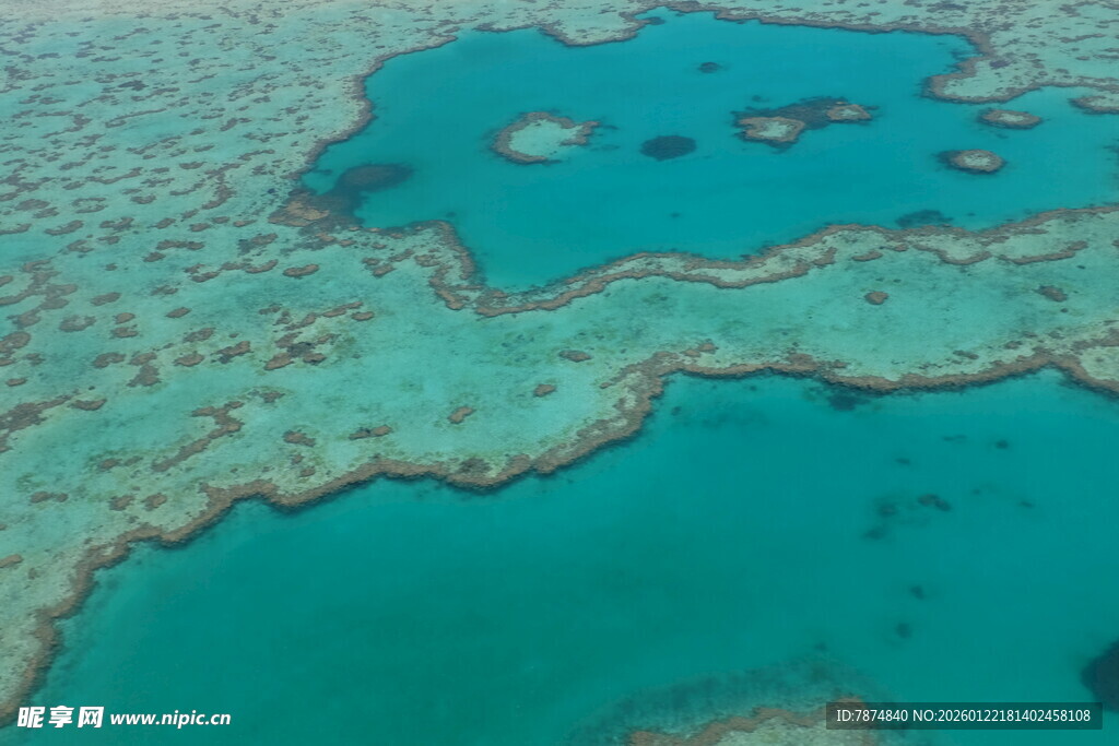 美丽的海底珊瑚礁景观