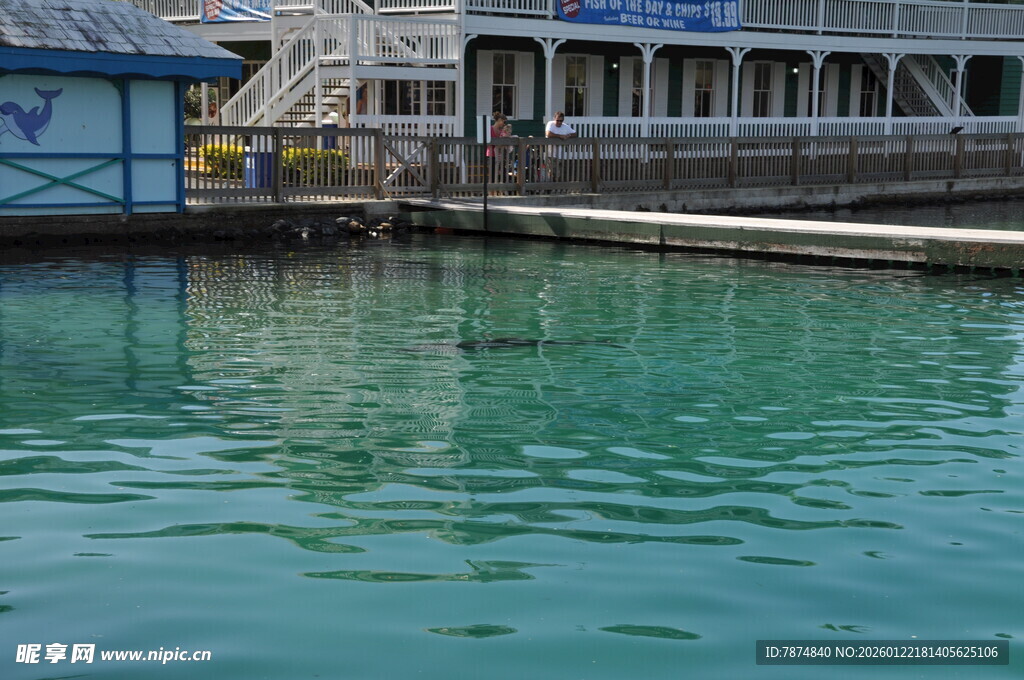 宁静码头旁的清澈水域