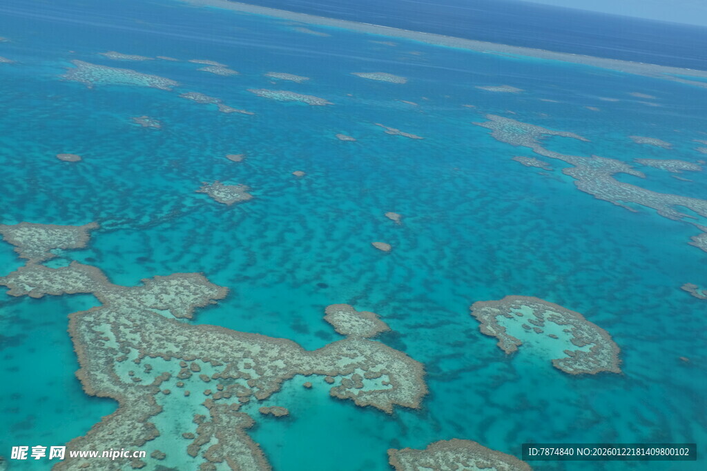 美丽珊瑚礁海洋景观