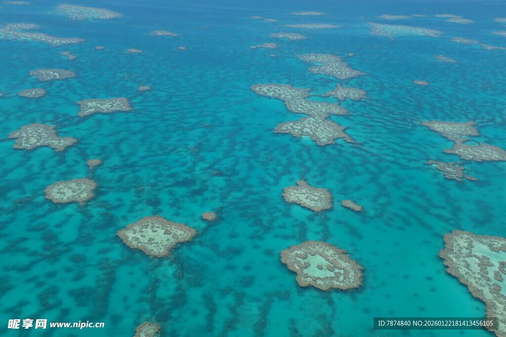美丽海岛浅海珊瑚礁景观