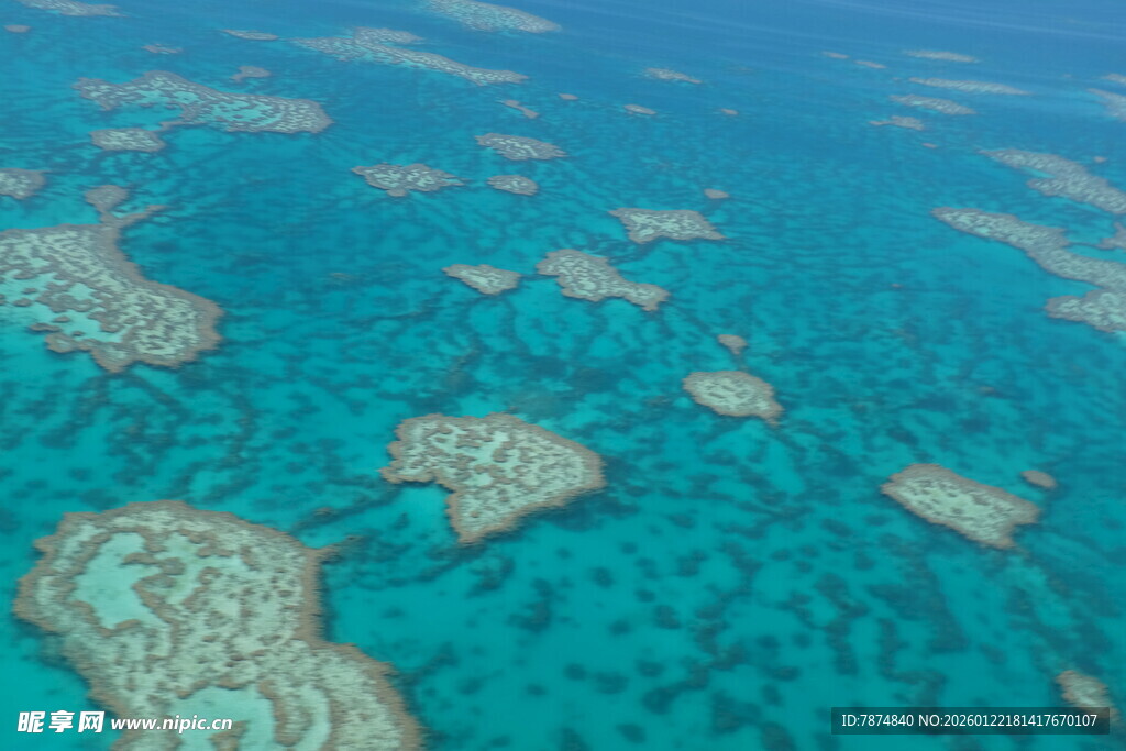 美丽的海底珊瑚礁景观