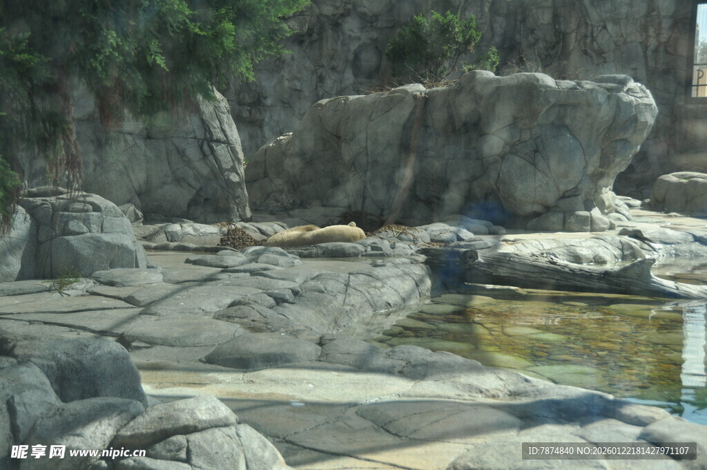 山间石畔的清幽小水潭