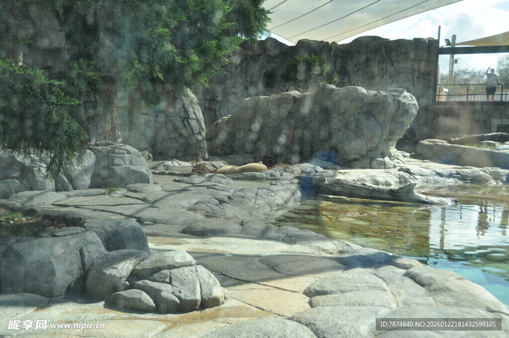动物园内的岩石与水域景观