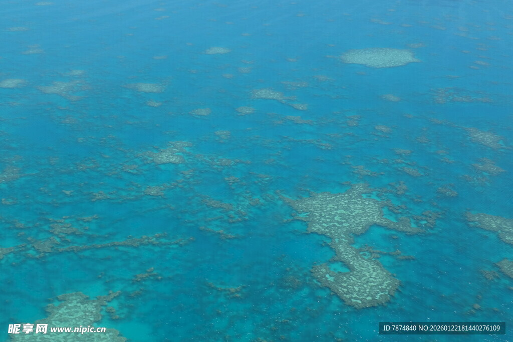 俯瞰绚丽多姿的海底珊瑚