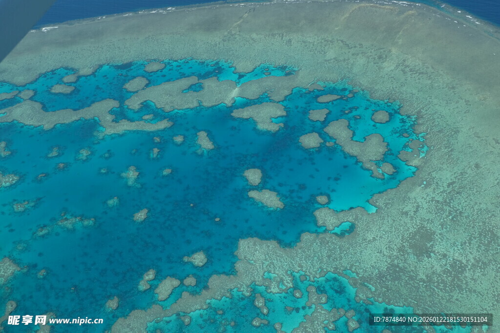 俯瞰绚丽多彩的海底珊瑚