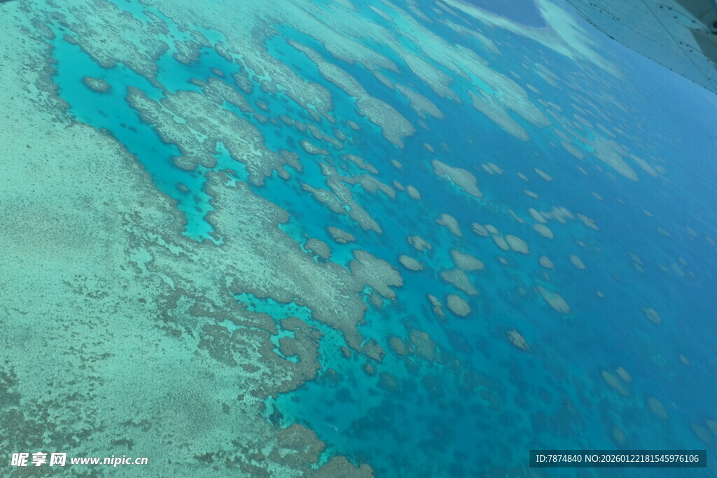 俯瞰绚丽多姿的海底世界