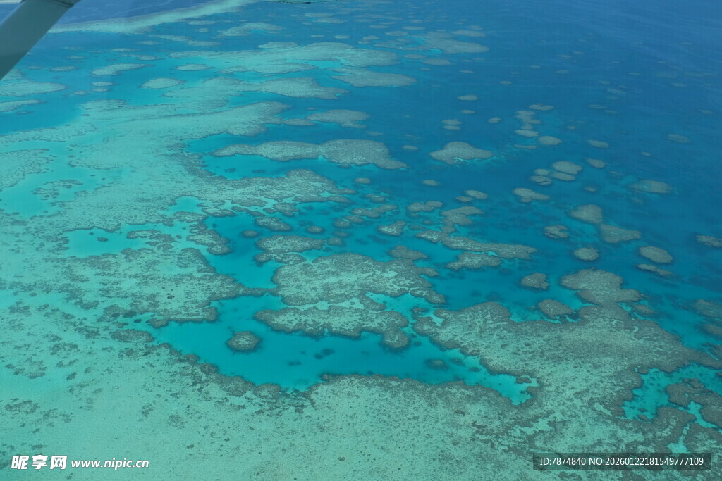 俯瞰美丽的海底珊瑚礁