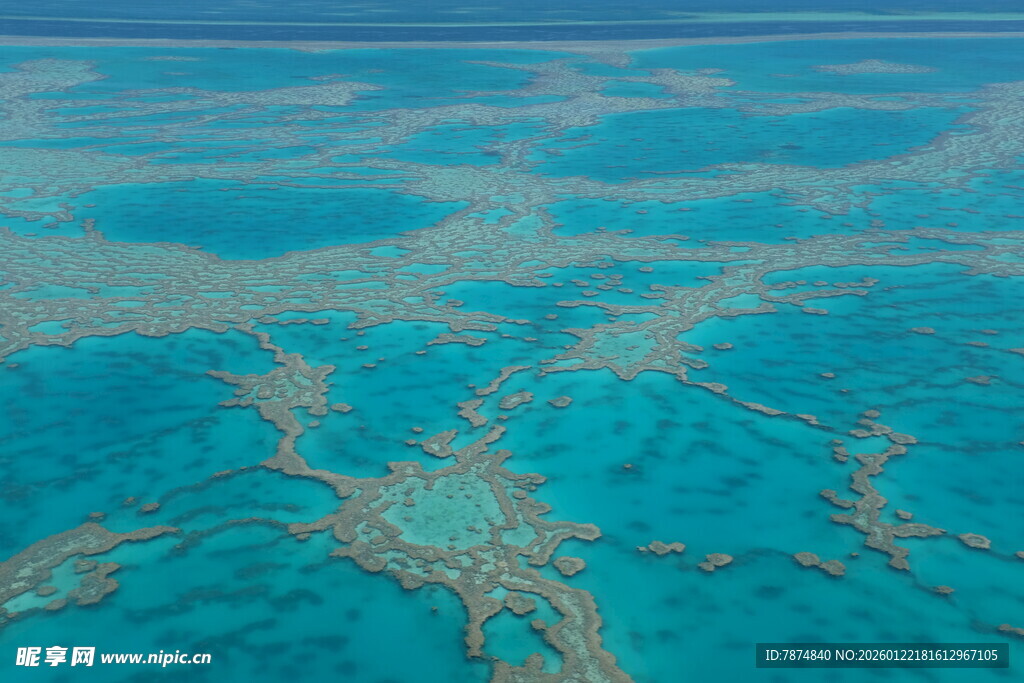 美丽海底珊瑚景观