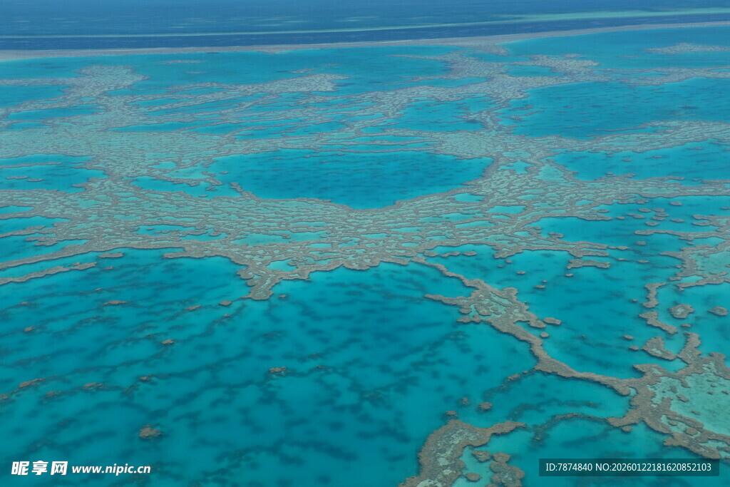 清澈海域中的美丽珊瑚礁