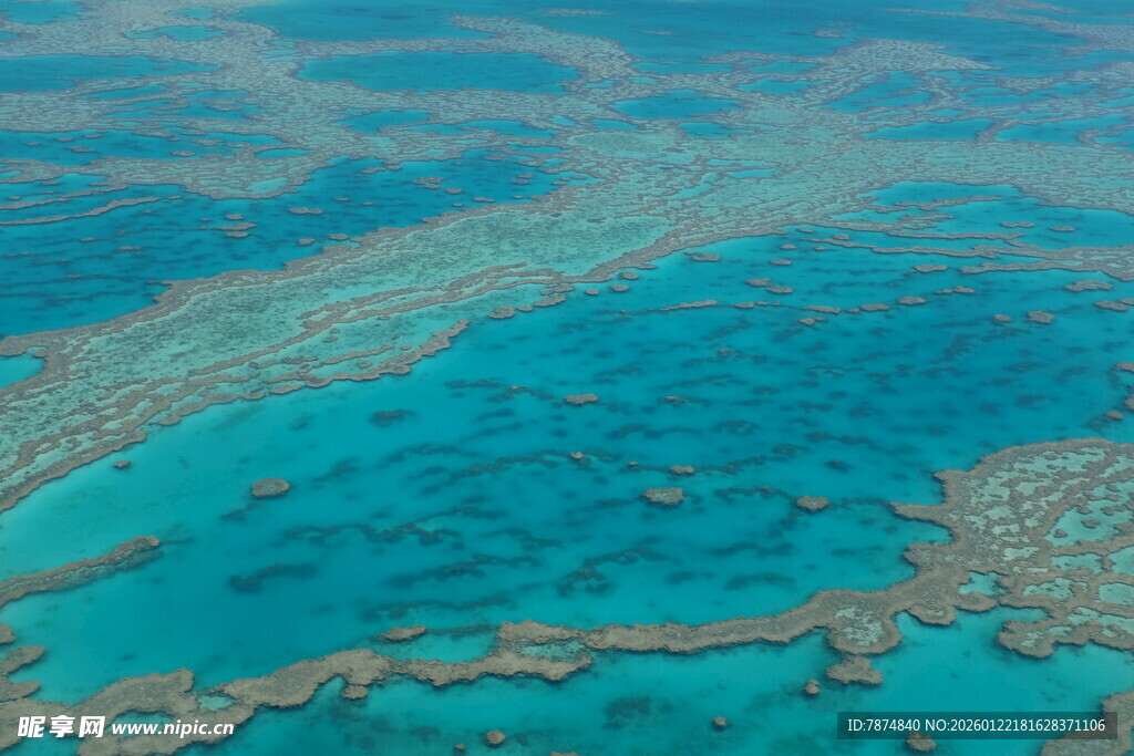 美丽的海底珊瑚礁景观