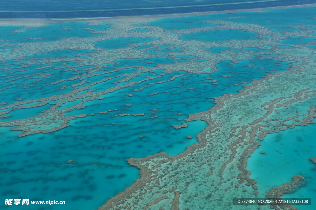 美丽的蓝色珊瑚礁海域