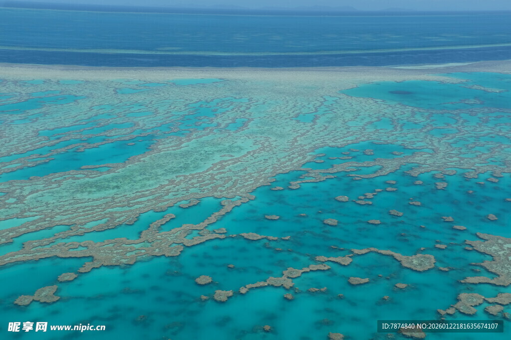 俯瞰美丽斑斓的海底珊瑚
