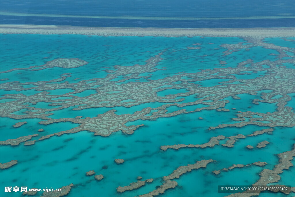 美丽壮观的蓝色珊瑚礁海域