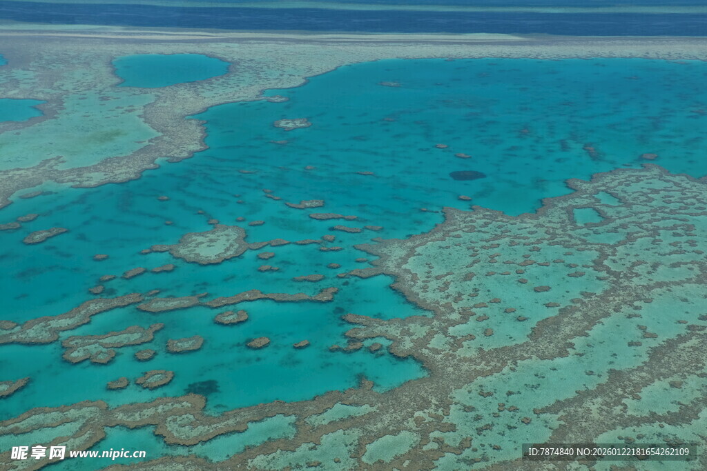 美丽的海底珊瑚礁景观