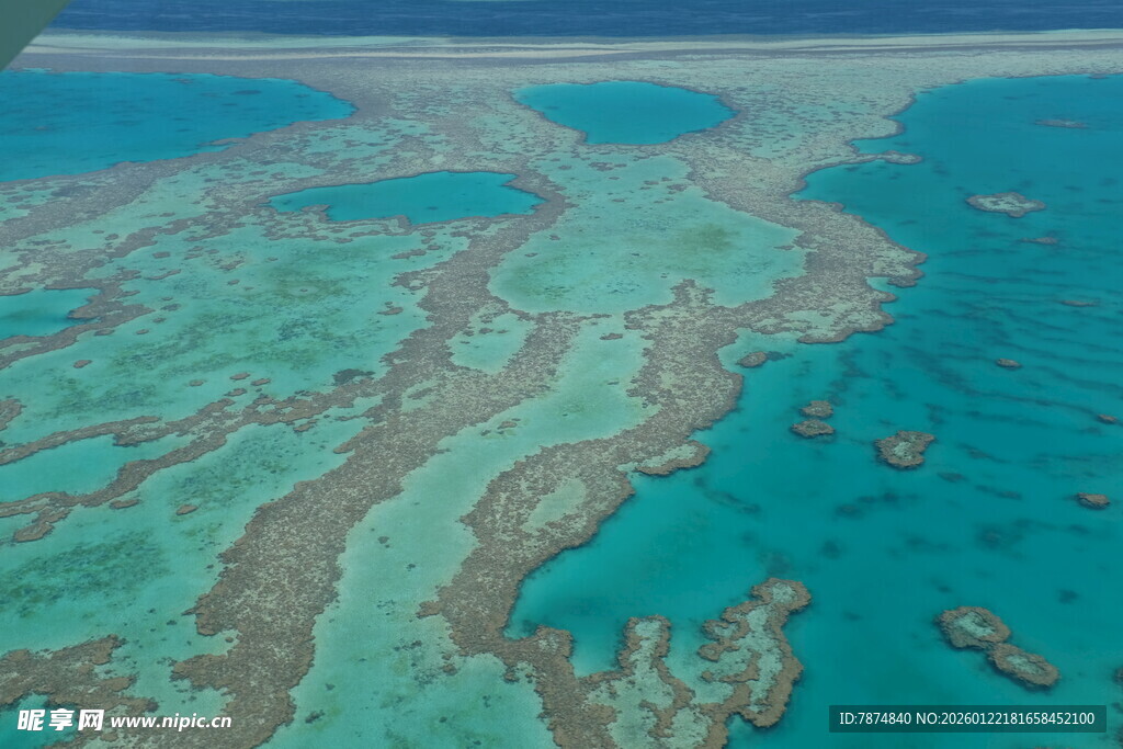 俯瞰美丽的海底珊瑚礁