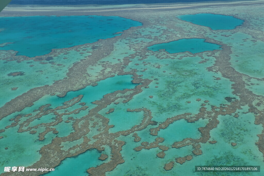 俯瞰美丽斑斓的海底珊瑚礁