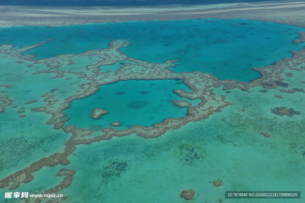 美丽的海底珊瑚礁景观