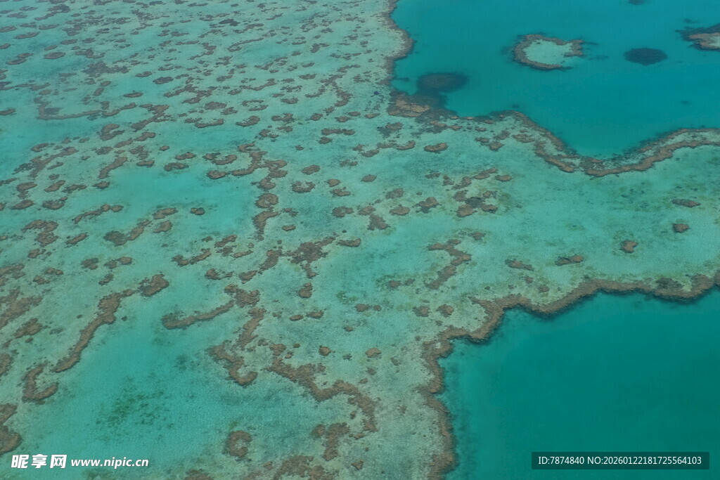 俯瞰绚丽多彩的海底珊瑚