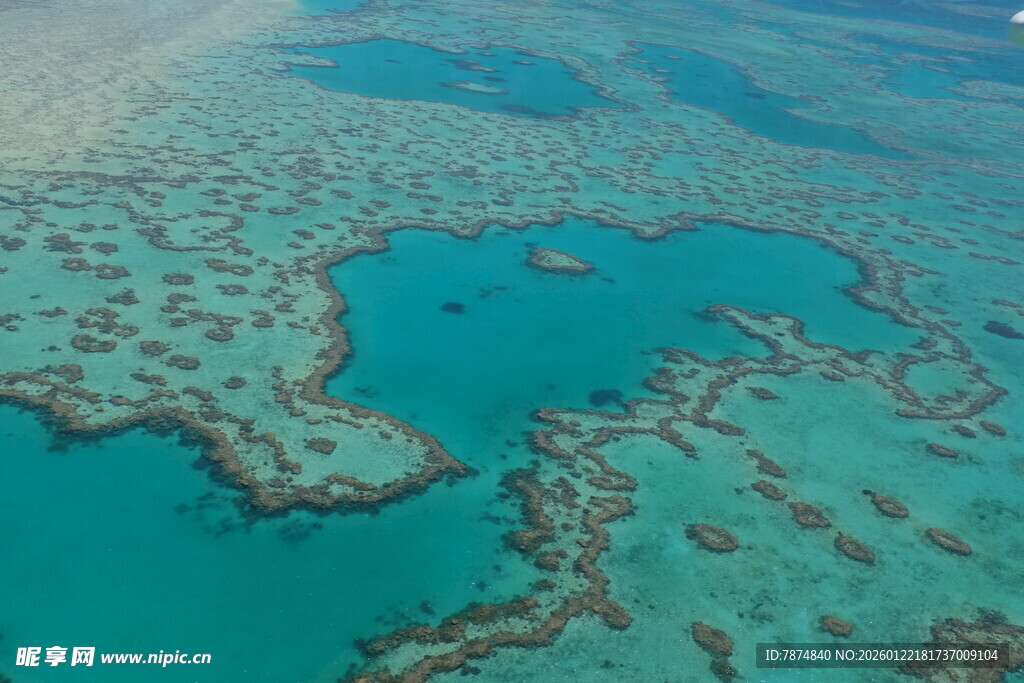 美丽梦幻的海底珊瑚景观