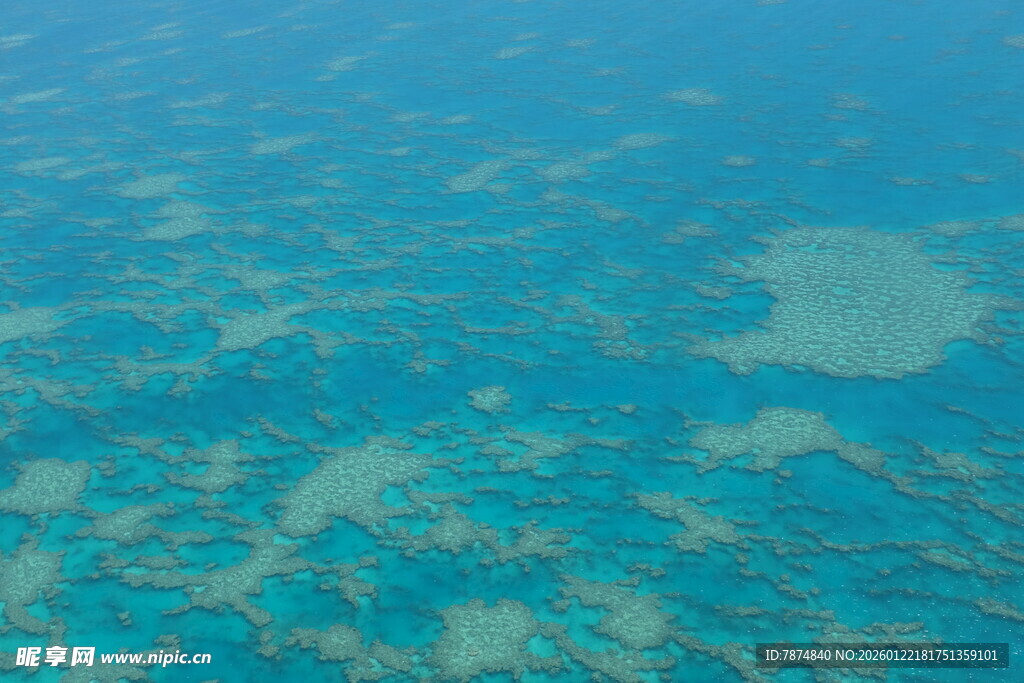 俯瞰清澈斑斓的海底世界