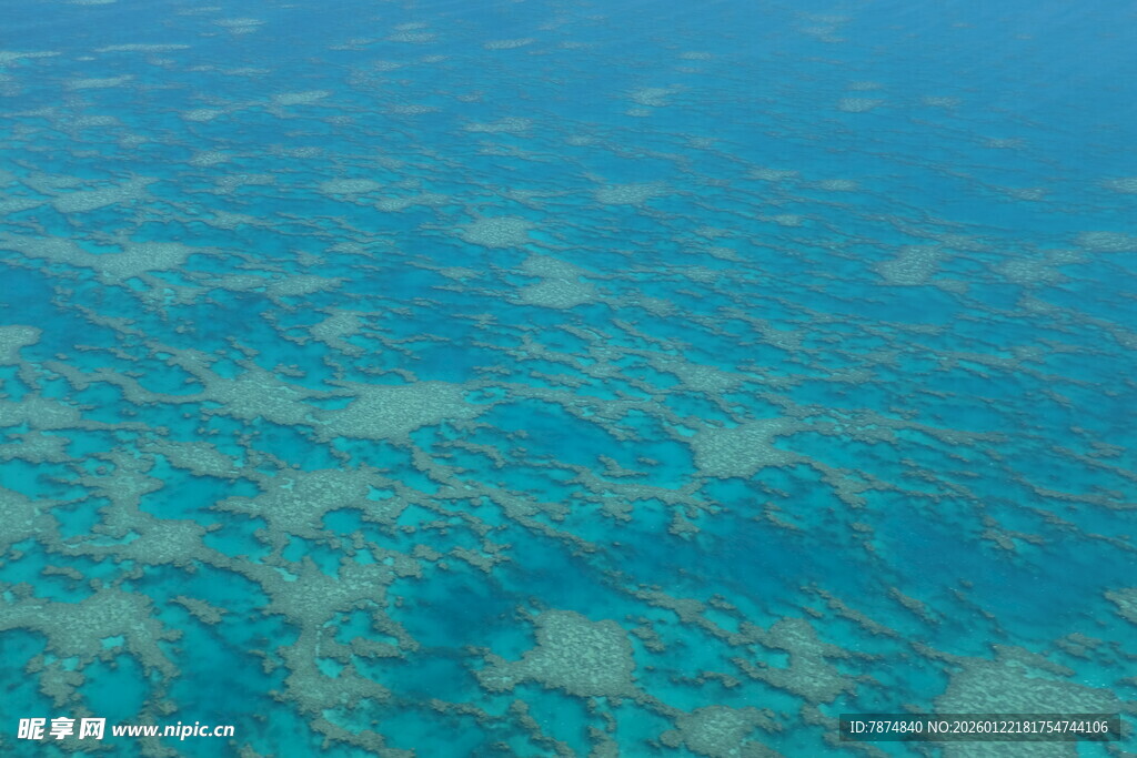 清澈碧蓝的海底景象