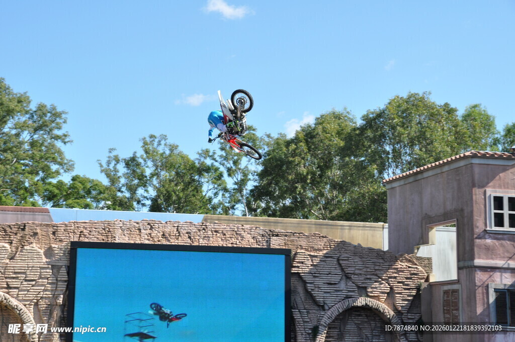 动物园中飞鸟嬉戏场景