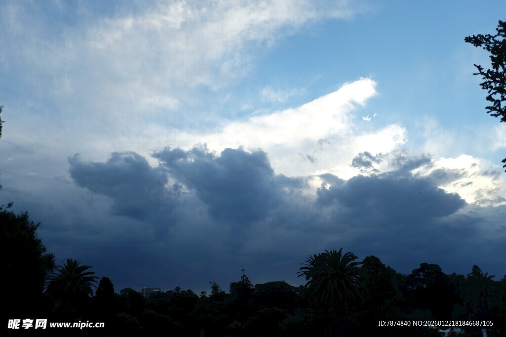 天空中厚重云层与树木
