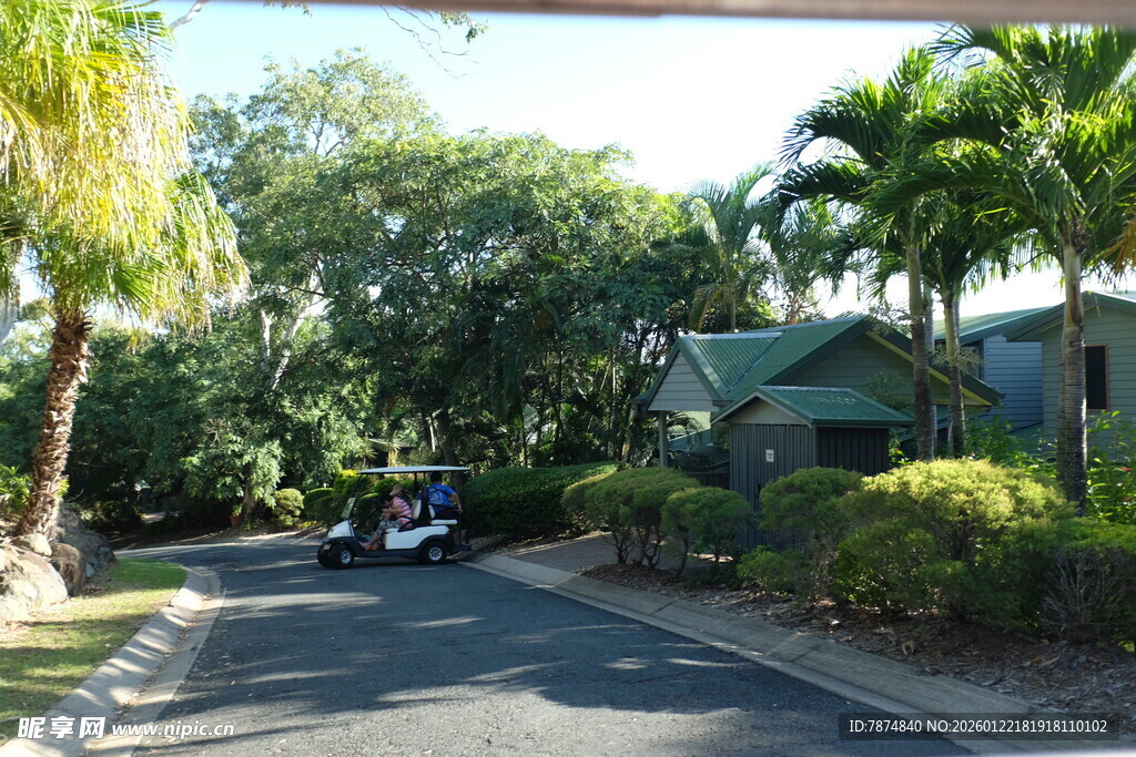 宁静街道旁的绿植与房屋