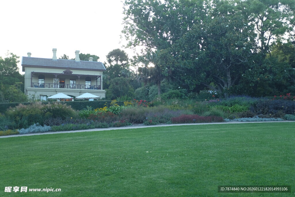 美丽庭院草坪与绿植景观